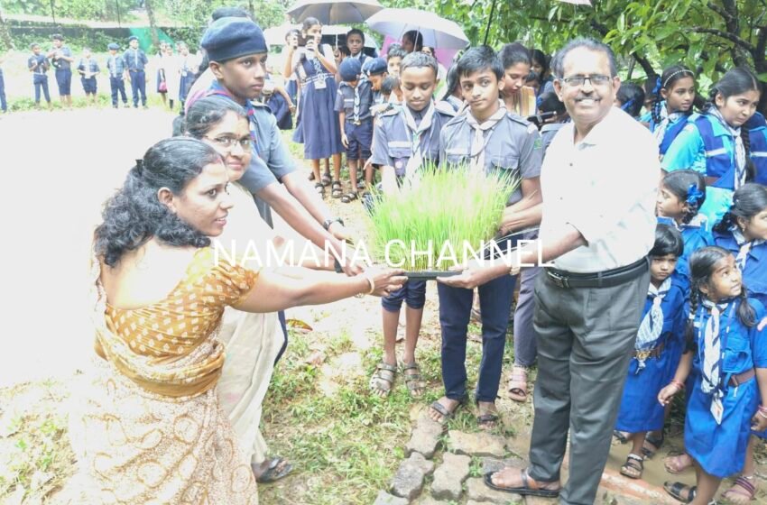  ಶ್ರೀ  ಧರ್ಮಸ್ಥಳ ಮಂಜುನಾಥೇಶ್ವರ ಆಂಗ್ಲ ಮಾಧ್ಯಮ ಶಾಲೆಯಲ್ಲಿ ಆಟಿಡೊಂಜಿ ದಿನದ ಸಂಭ್ರಮ